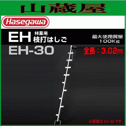 長谷川工業 林業用 枝打はしご EH-30 全長 3.07m 有効長 2.92m 質量 6.7kg ...