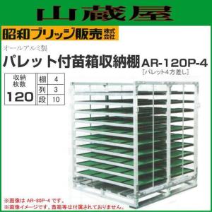 パレット付苗箱収納棚 水平収納式 昭和ブリッジ 120枚 AR-120P-4 (3列×10段×4枚) 全長2000×全幅1280×全高1580mm [法人送料無料]｜yamakuraact01