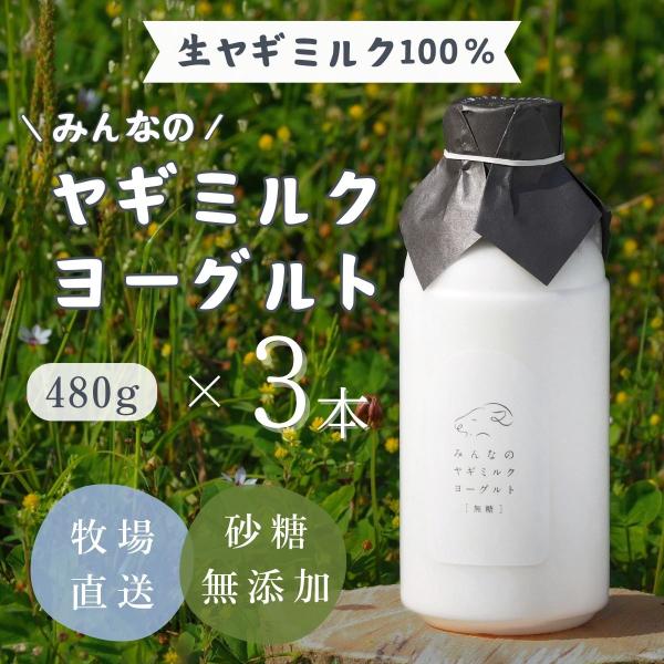 ヤギミルク ヨーグルト 無糖 480g 3本セット 送料無料 やまま牧場 砂糖無添加 プレーン ドリ...