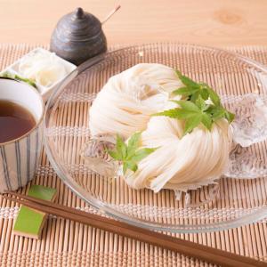 島原そうめん 高級 お中元 こだわり ギフト ...の詳細画像5