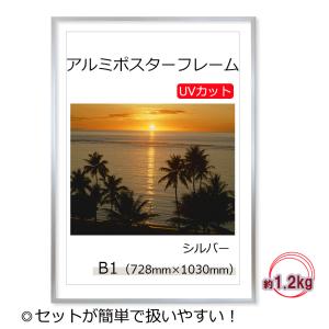 ポスターフレーム B1 (728x1030mm) シルバー UVカット ペット板