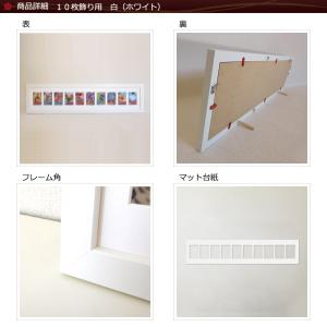 カードを飾る額縁 トレカ ポケカ 額 10連 ...の詳細画像5