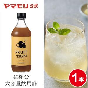 ヤマモリ　FRUIT VINEGAR クラフトジンジャー500ml 1本 12倍希釈 お中元 リンゴ酢 飲む酢 酢 ギフト りんご酢 お酢ドリンク 糖質オフ 砂糖不使用 業務用 爆買