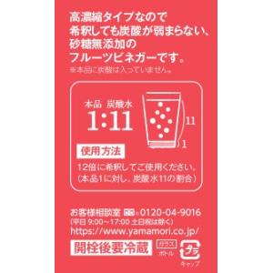 ヤマモリ FRUIT VINEGAR 2本セッ...の詳細画像3