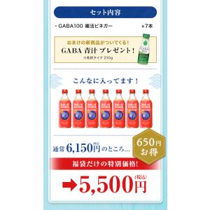 暑中見舞い&夏のお楽しみ福袋 GABA100 ...の詳細画像3
