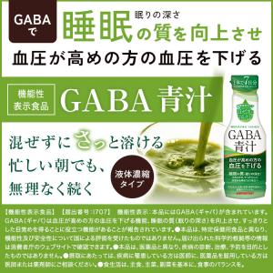暑中見舞い&夏のお楽しみ福袋 GABA100 ...の詳細画像4