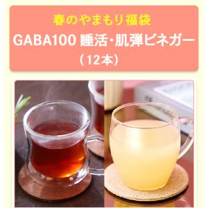 春のやまもり 福袋 GABA 100 睡活 ・...の詳細画像2