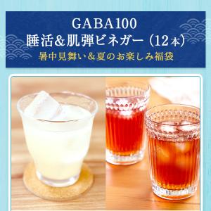 暑中見舞い&夏のお楽しみ福袋 GABA100 ...の詳細画像2
