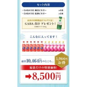 暑中見舞い&夏のお楽しみ福袋 GABA100 ...の詳細画像3