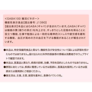 春のやまもり 福袋 GABA 100 睡活ビネ...の詳細画像1