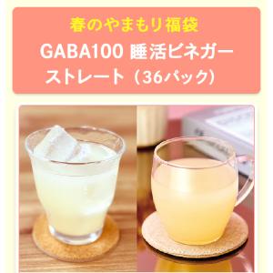 春のやまもり 福袋 GABA 100 睡活ビネ...の詳細画像3