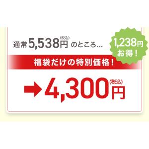 春のやまもり 福袋 GABA 100 睡活ビネ...の詳細画像5