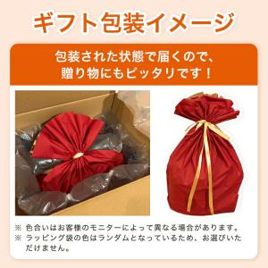 まとめ買いでお得!ヤマモリ人気商品コンプリート...の詳細画像5