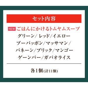 タイカレー と ガパオ 11個セット ヤマモリ...の詳細画像1
