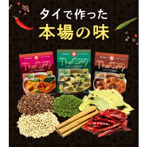 タイカレー と ガパオ 11個セット ヤマモリ...の詳細画像4