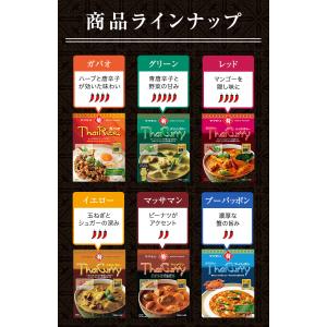 タイカレー と ガパオ 11個セット ヤマモリ...の詳細画像5