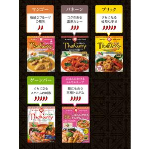 まとめ買いでお得5%OFF ヤマモリ タイカレ...の詳細画像2