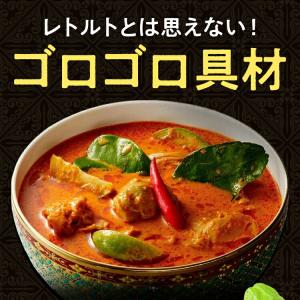 ヤマモリ 激辛 好き タイカレー 10個セット...の詳細画像2