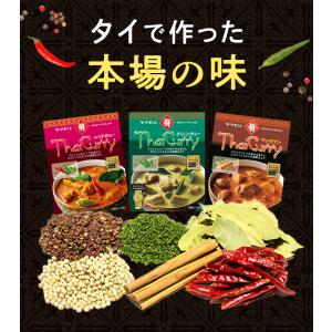 ヤマモリ 激辛 好き タイカレー 10個セット...の詳細画像3