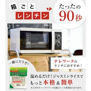 ヤマモリ 激辛 好き タイカレー 10個セット...の詳細画像5