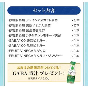 暑中見舞い&夏のお楽しみ福袋 お酢ドリンク全種...の詳細画像3