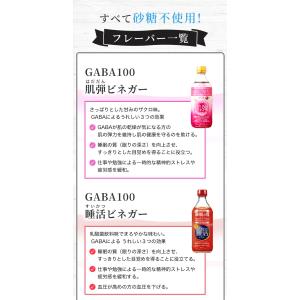 ヤマモリ 初めての方限定 2本セット GABA...の詳細画像5