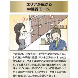 DJ-R200D(L)同時通話&交互通話 特定...の詳細画像5