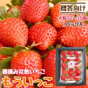 いちご 完熟 宮城 山元いちご農園 贈答用 もういっこ 大粒 12〜15粒 1パック