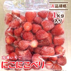 冷凍いちご イチゴ 苺 にこにこベリー 国産 宮城県 A品 1kg 業務 無添加｜yamamoto-ichigo15