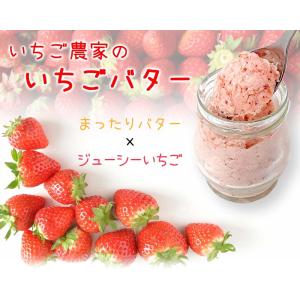 山元いちご農園 いちごバター 無添加の詳細画像1