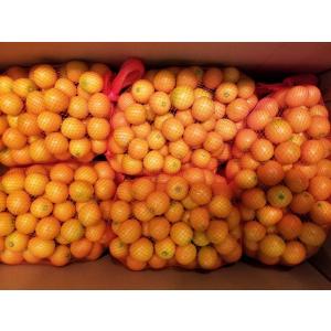 無農薬金柑Mサイズ　1kg