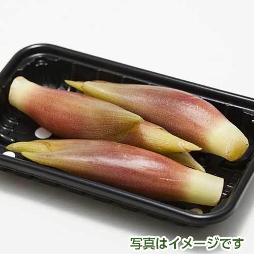 高知県産　みょうが