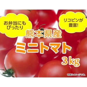 訳ありミニトマト 3kg : 山本商店ヤフー店 - 通販 - Yahoo!ショッピング
