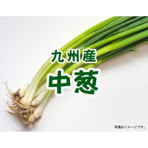中葱 １束 九州産 １００g