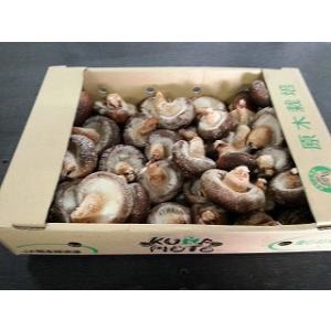 九州産　原木生椎茸１ｋｇ