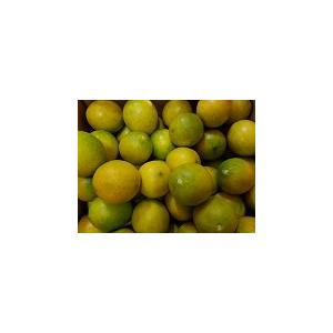 無農薬レモン1k : 山本商店ヤフー店 - 通販 - Yahoo!ショッピング