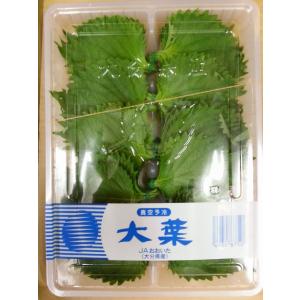大分県産大葉１パック