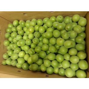 青梅　３Ｌサイズ　　１ｋｇ