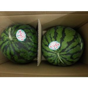 九州産スイカ訳ありすいかＬサイズ　2玉入り