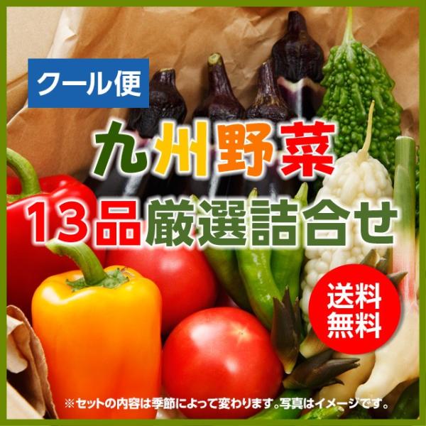 【クール配送】九州産旬の野菜1５品野菜セット　送料無料＋フルーツ２個サービス