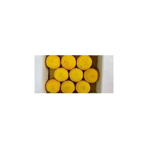 大分県産 無農薬ゆず８００g Yuzu 山本商店ヤフー店 通販 Yahoo ショッピング