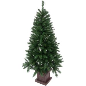 インベル アライヴン リチャージ センテナリアン エクササイズ グリーン インベル アライヴン リチャージ センテナリアン エクササイズ