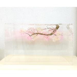 40号 間口120cm 七段・三段兼用 スチール製 ひな壇 （虹