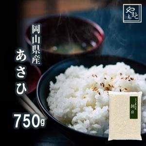 お米 新米 令和7年 岡山県産きぬむすめ 750g ポイント消化 ぽっきり 