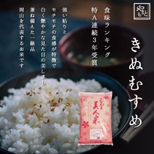 お米 令和7年 岡山県産 きぬむすめ 10kg...の詳細画像1