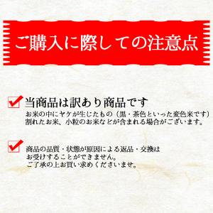 お米 生活応援米こごめさん 10kg(5キロ×...の詳細画像3