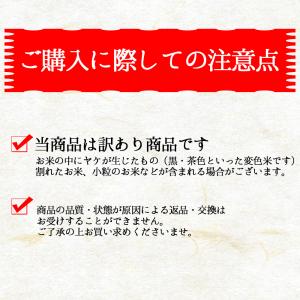 お米 生活応援米こごめさん 5kg(5キロ×1...の詳細画像3