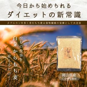 もち麦 5kg(5kg×1袋) 雑穀 令和6年...の詳細画像1