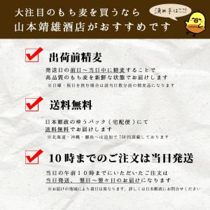 もち麦 5kg(5kg×1袋) 雑穀 令和6年...の詳細画像3