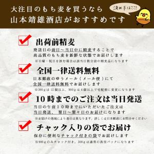 もち麦 900g 雑穀 令和7年 岡山県産 キ...の詳細画像3